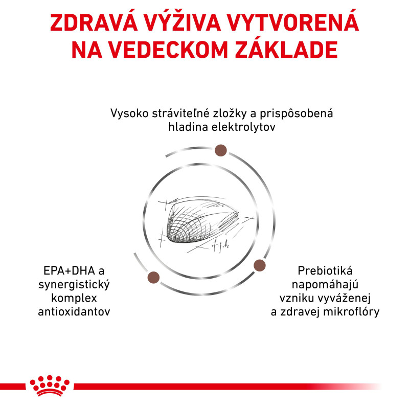 vhn-cat-gastrointestinal-12